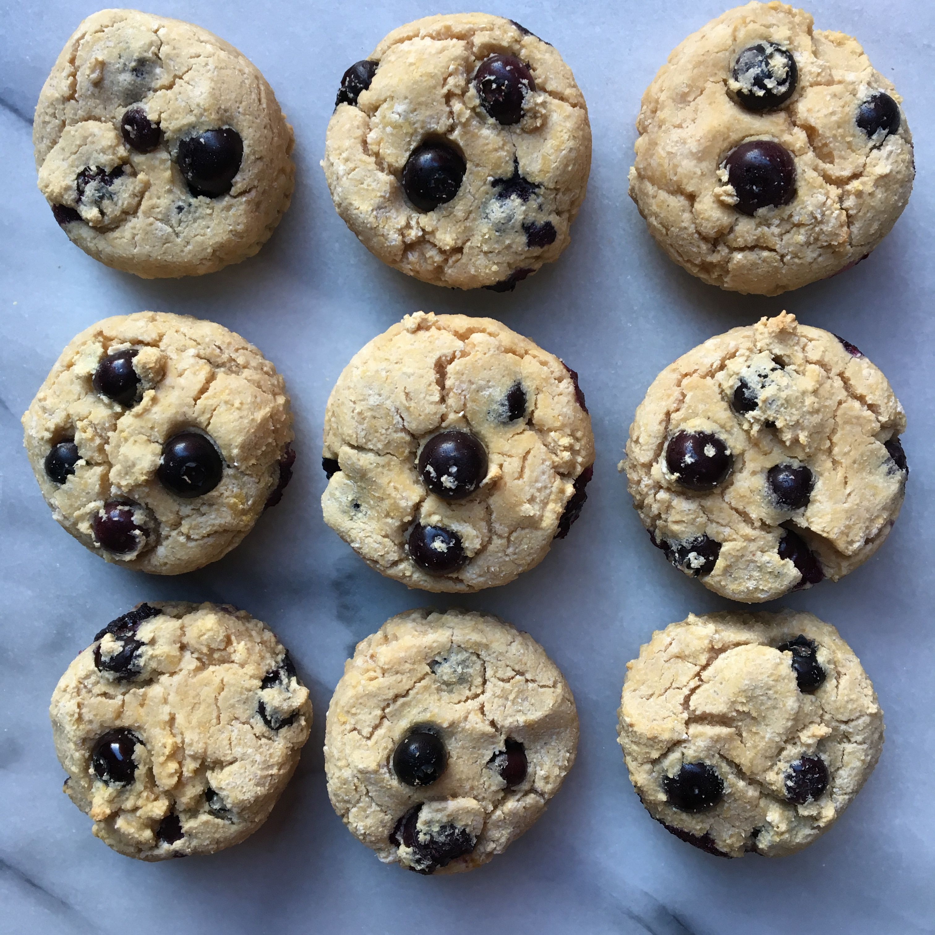 Paleo Blueberry Muffins - Gluten Free Follow Me