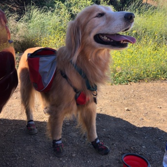 Odie camping and hiking