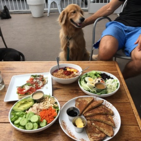 Odie enjoying lunch with us at GOODONYA